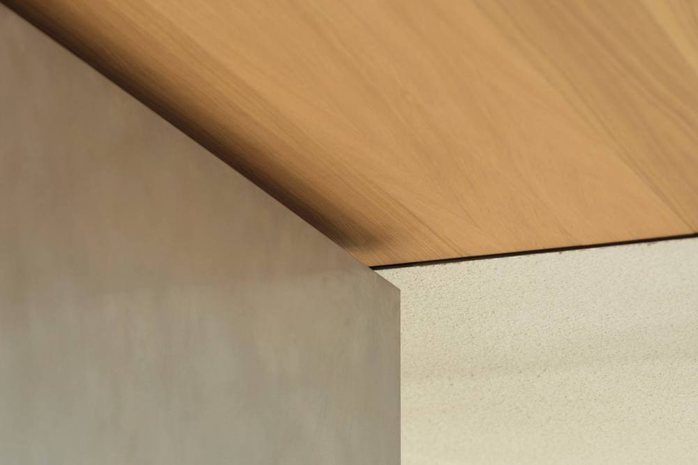 vsszan124911091114267.jpg