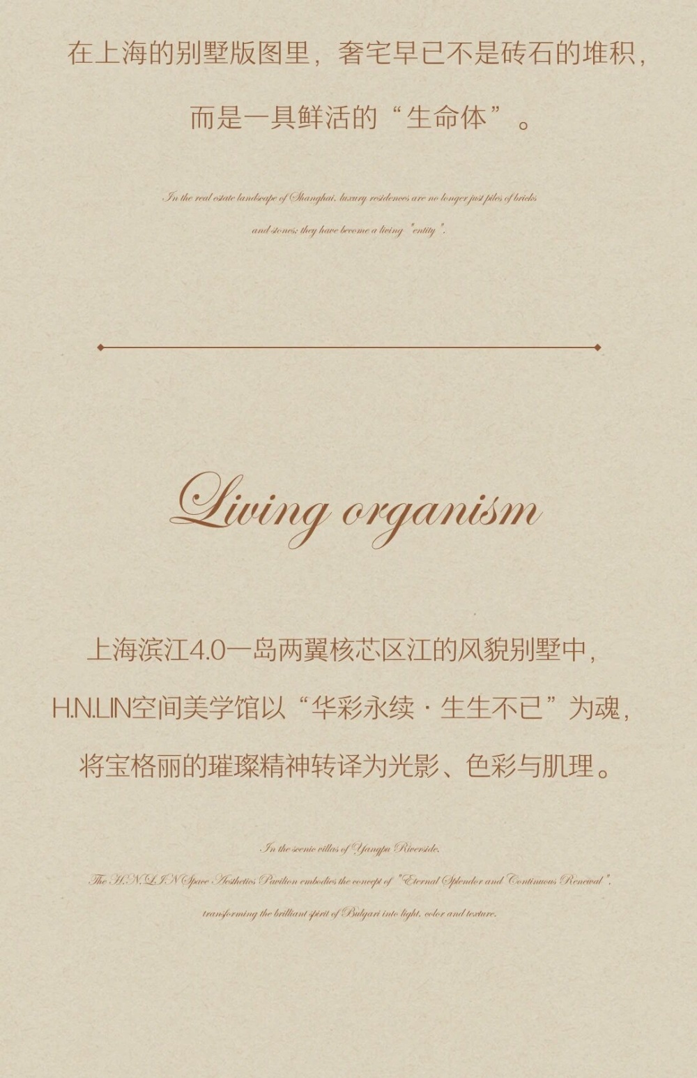 vsszan211071121655093.png