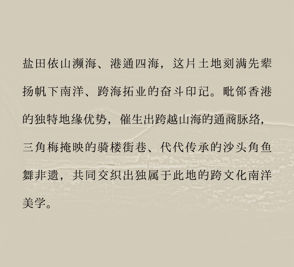 vsszan211083130949375.png