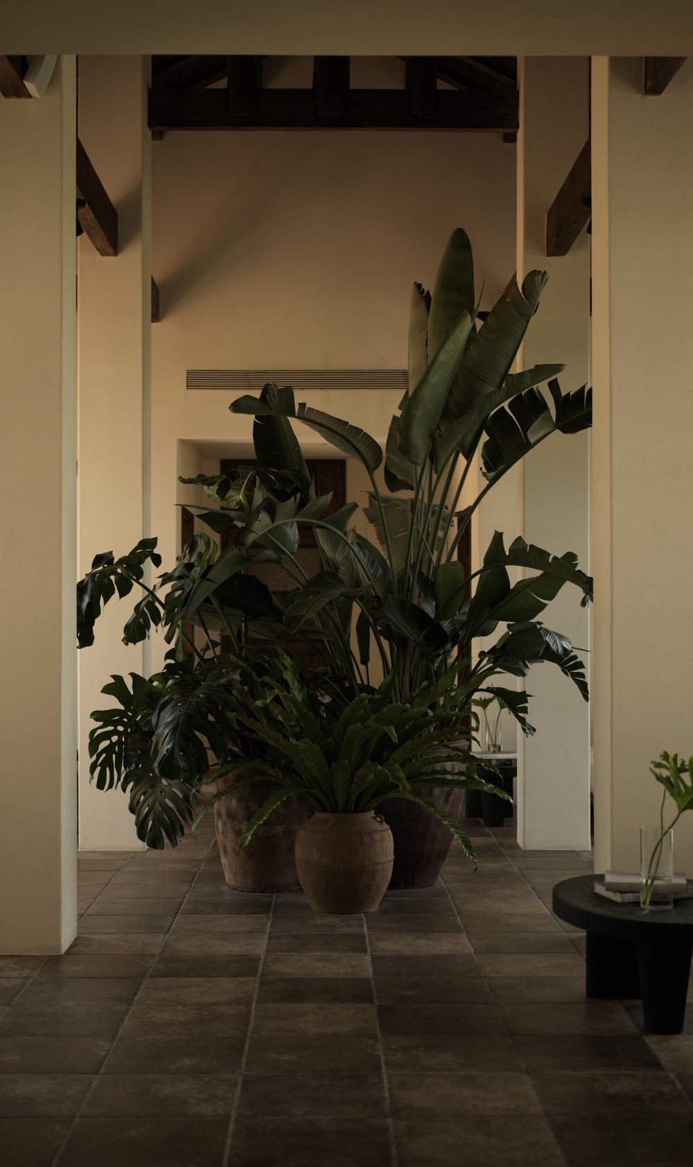 vsszan2114141709590640.png