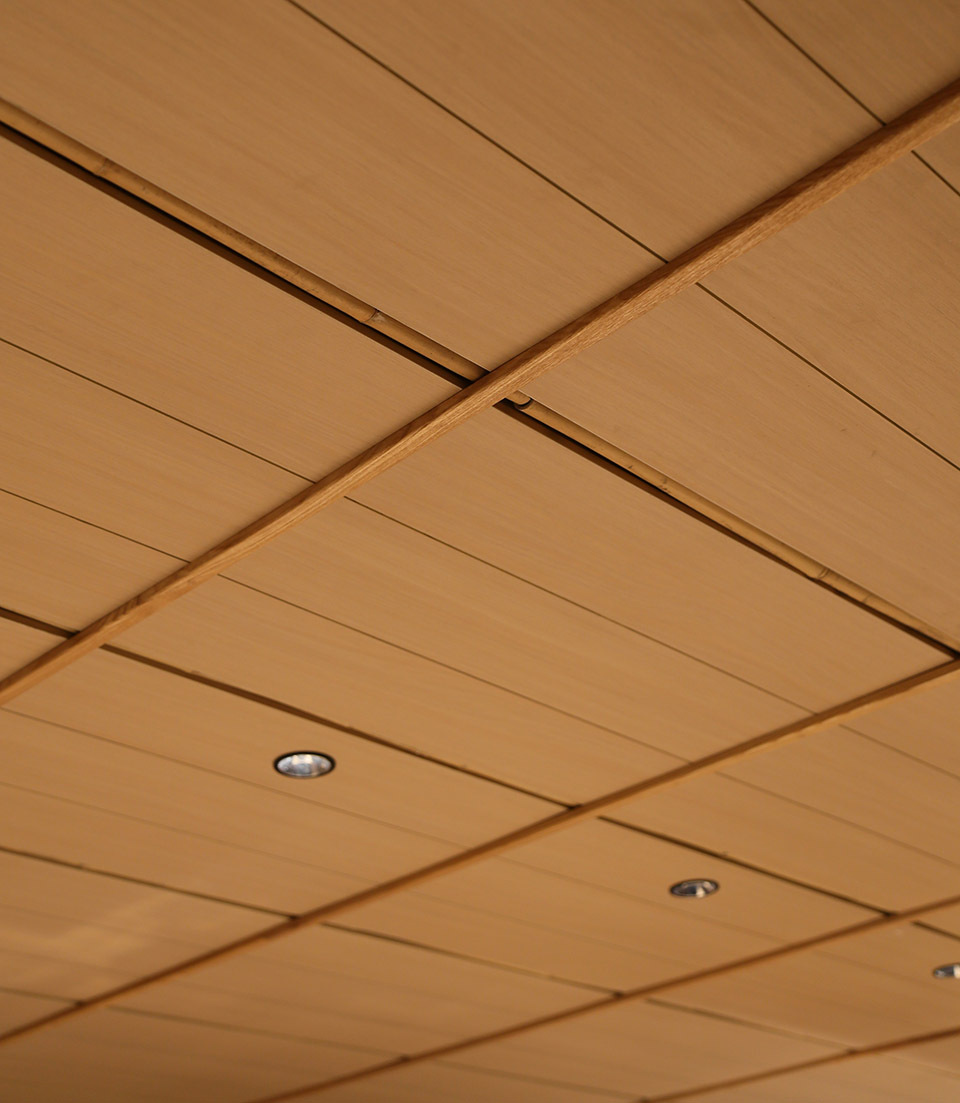 vsszan2114981810552912.jpg