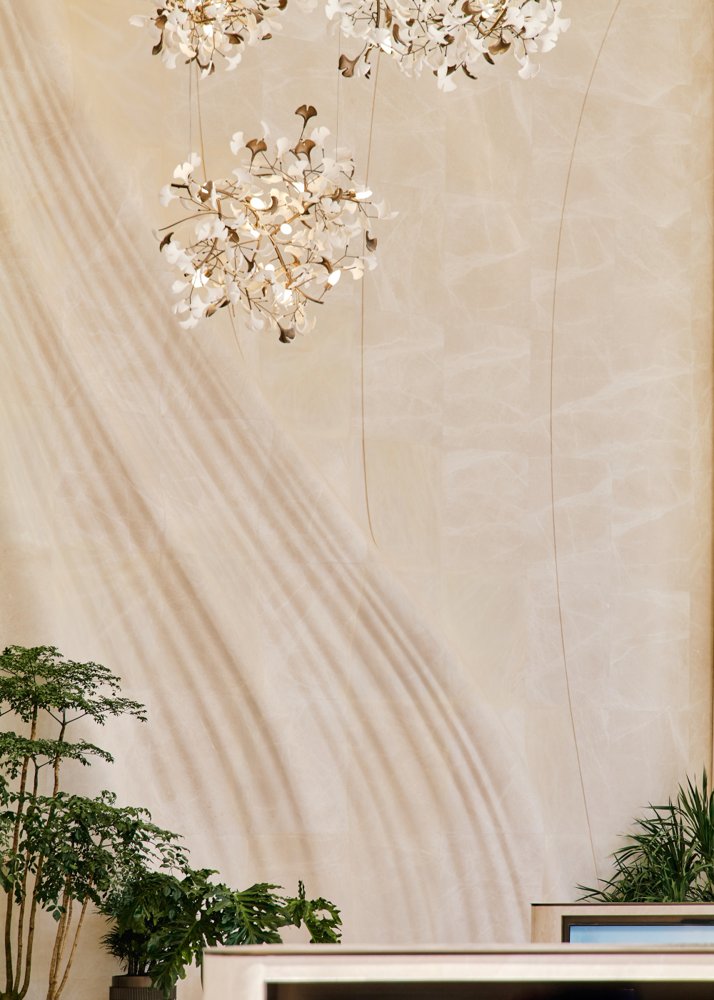 vsszan2116071909434416.jpg