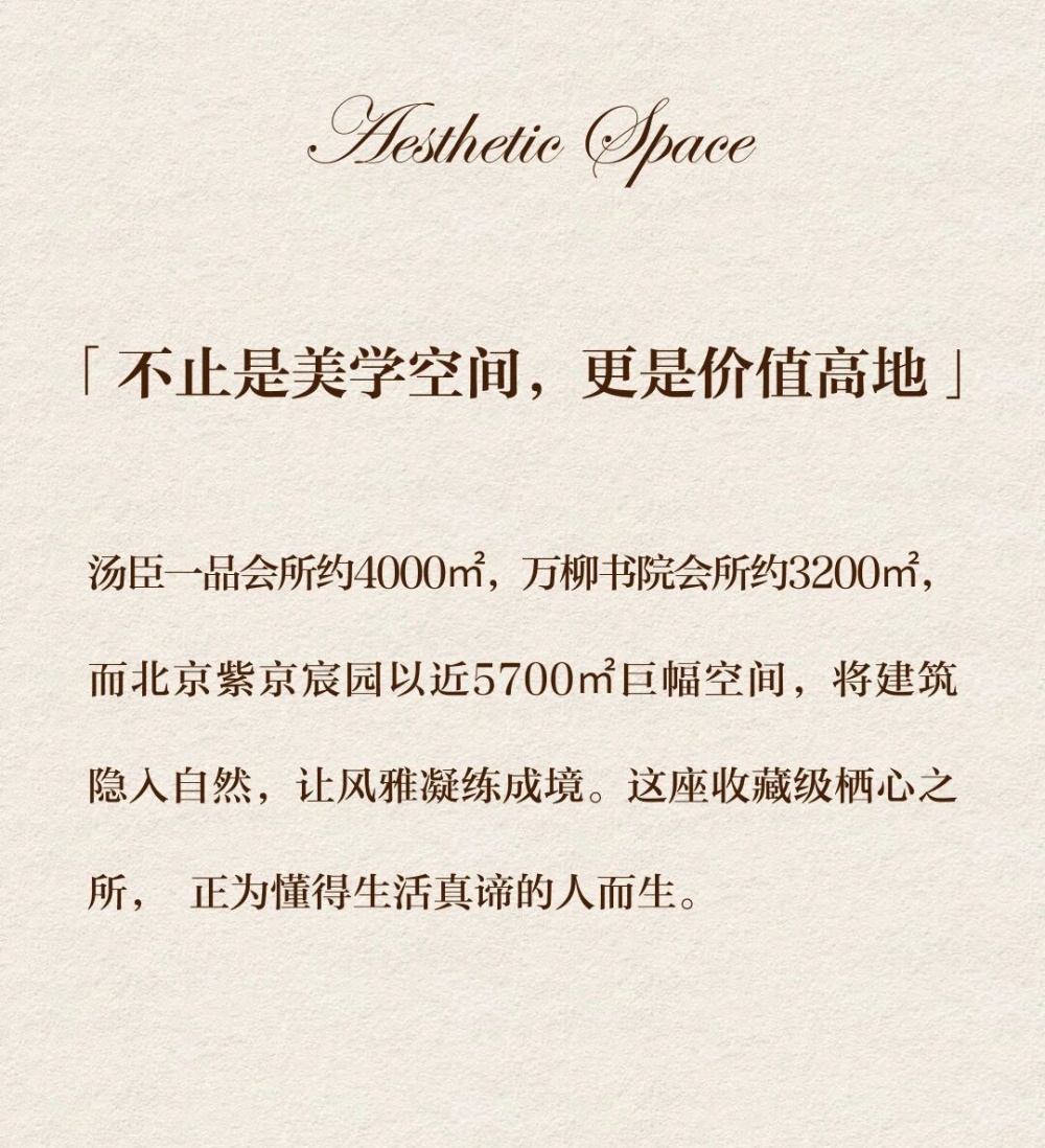 vsszan211684210028473.png