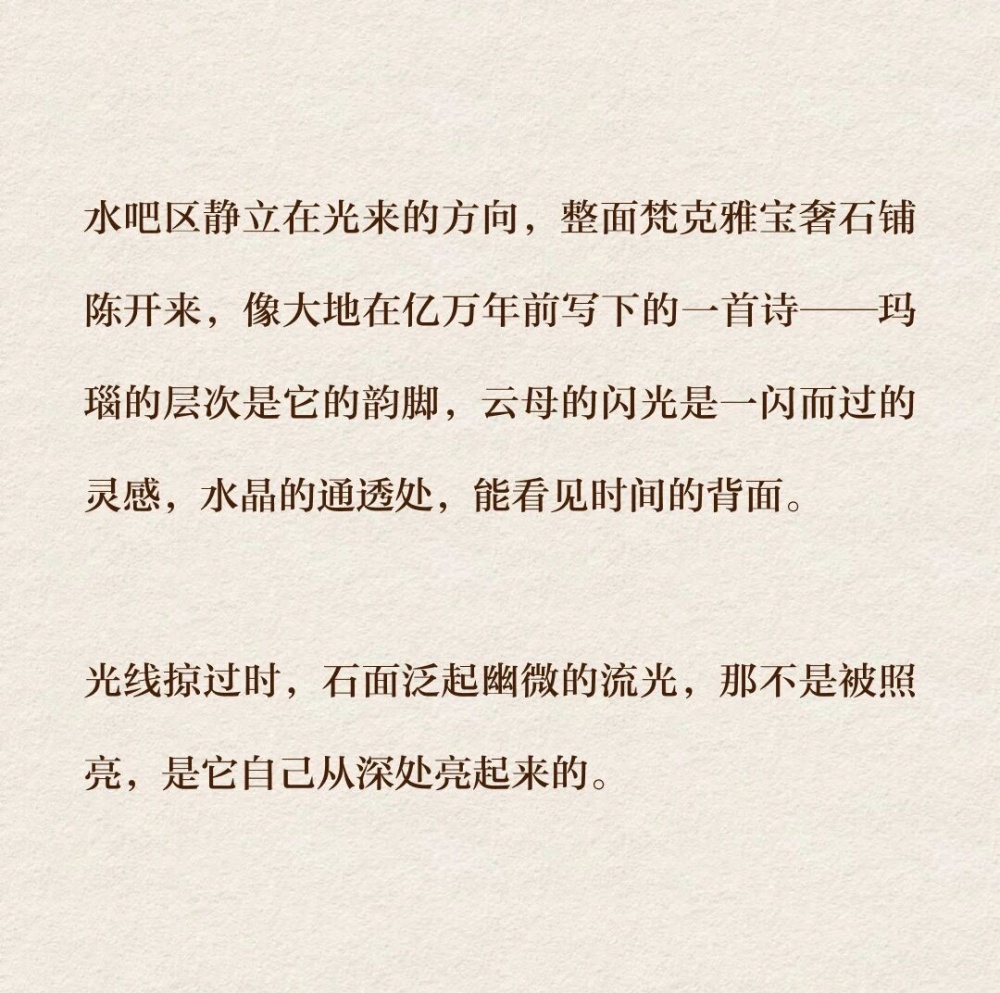 vsszan2116842100284770.png