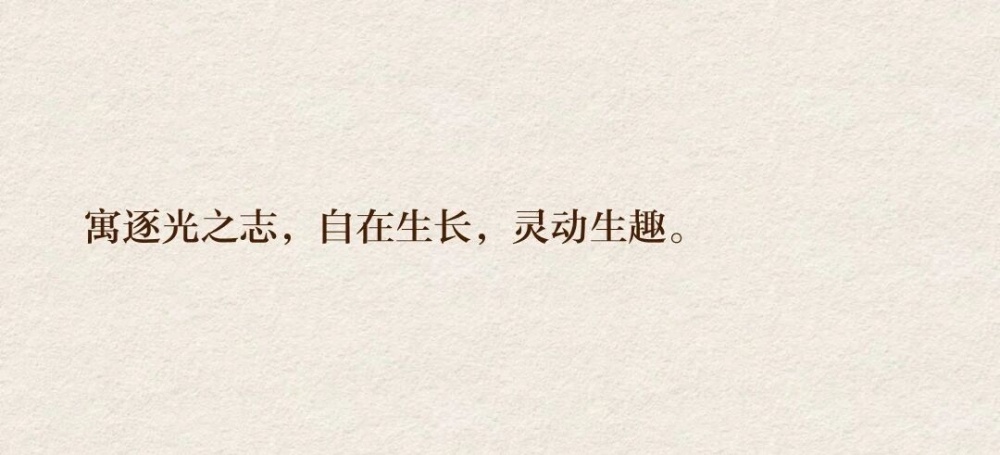 vsszan2116842100284795.png