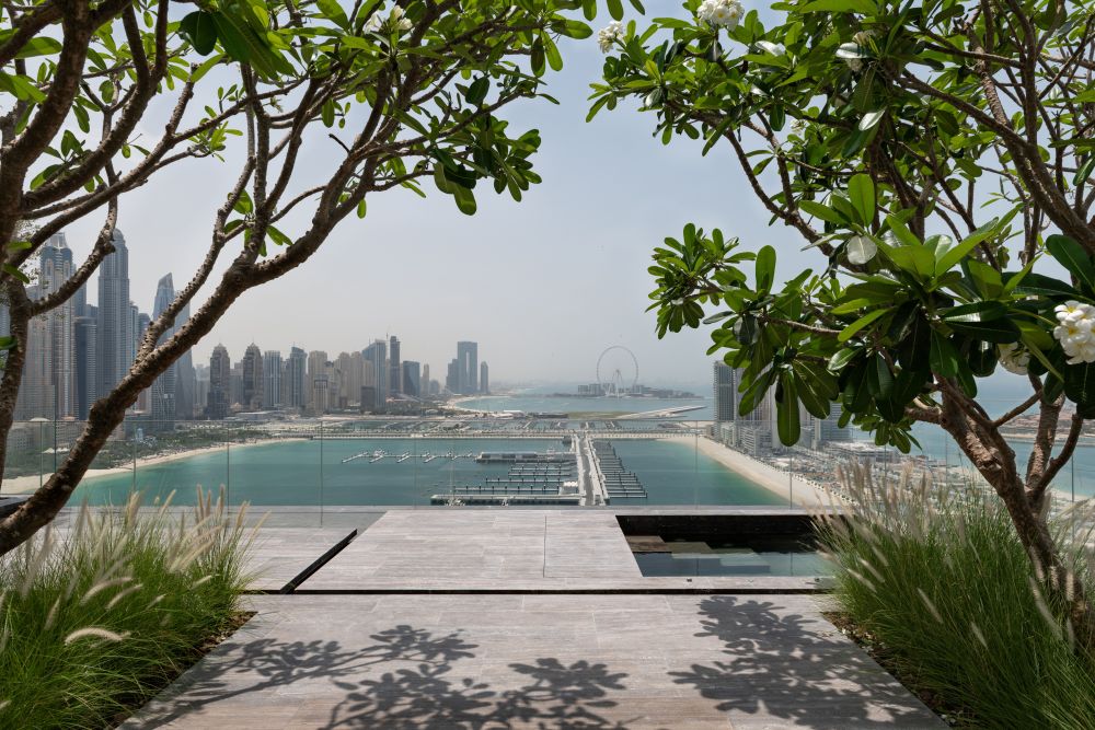 vsszan2117842521052411.jpg
