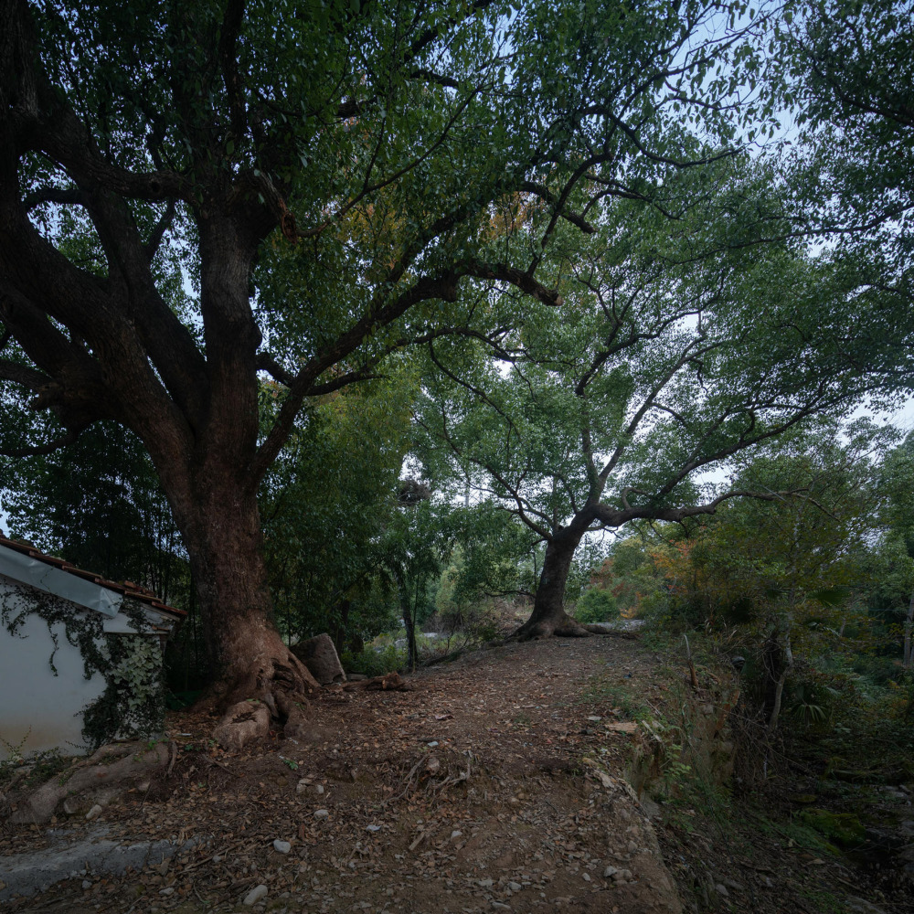 vsszan2119740415544623.jpg