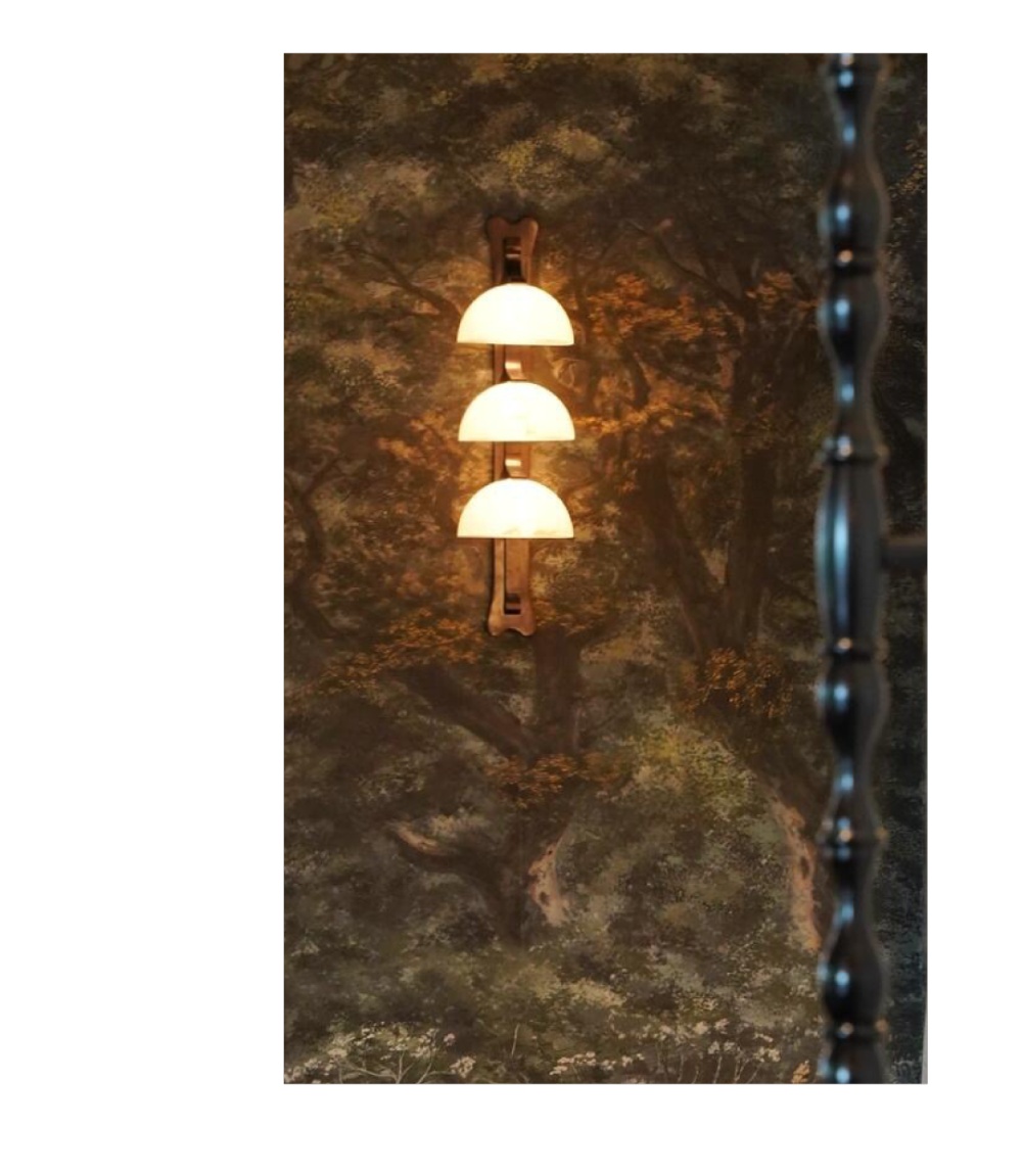 vsszan2120511000593220.png