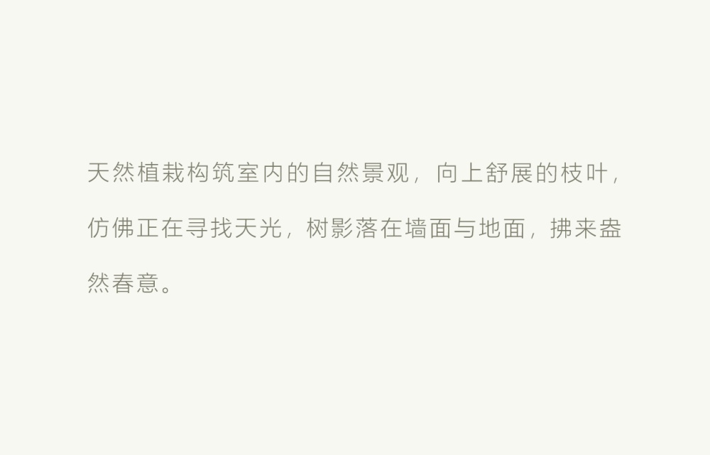 vsszan2121271500391415.png