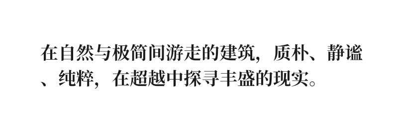 vsszan2122542400282835.png