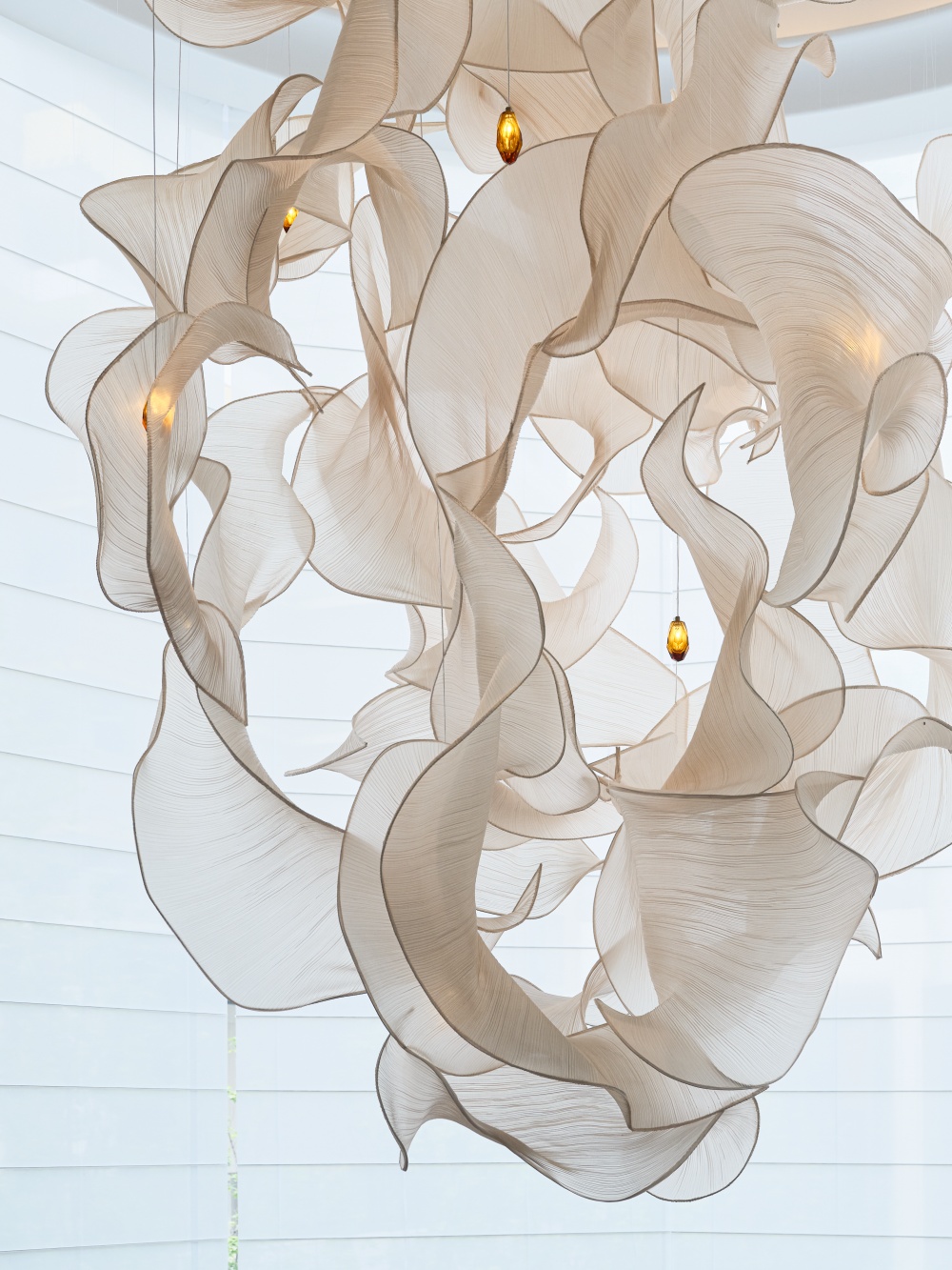 vsszan212355300115561.png