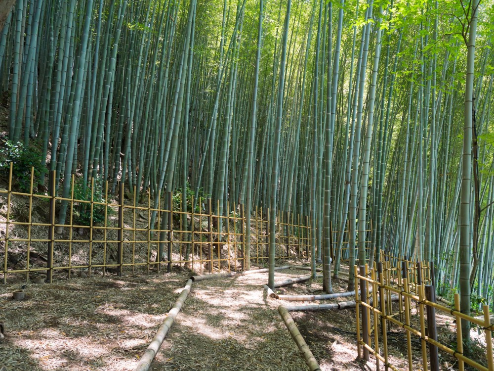 隈研吾-京都东山悦榕庄 Banyan Tree Higashiyama Kyoto_20260629_180712_2457.jpg