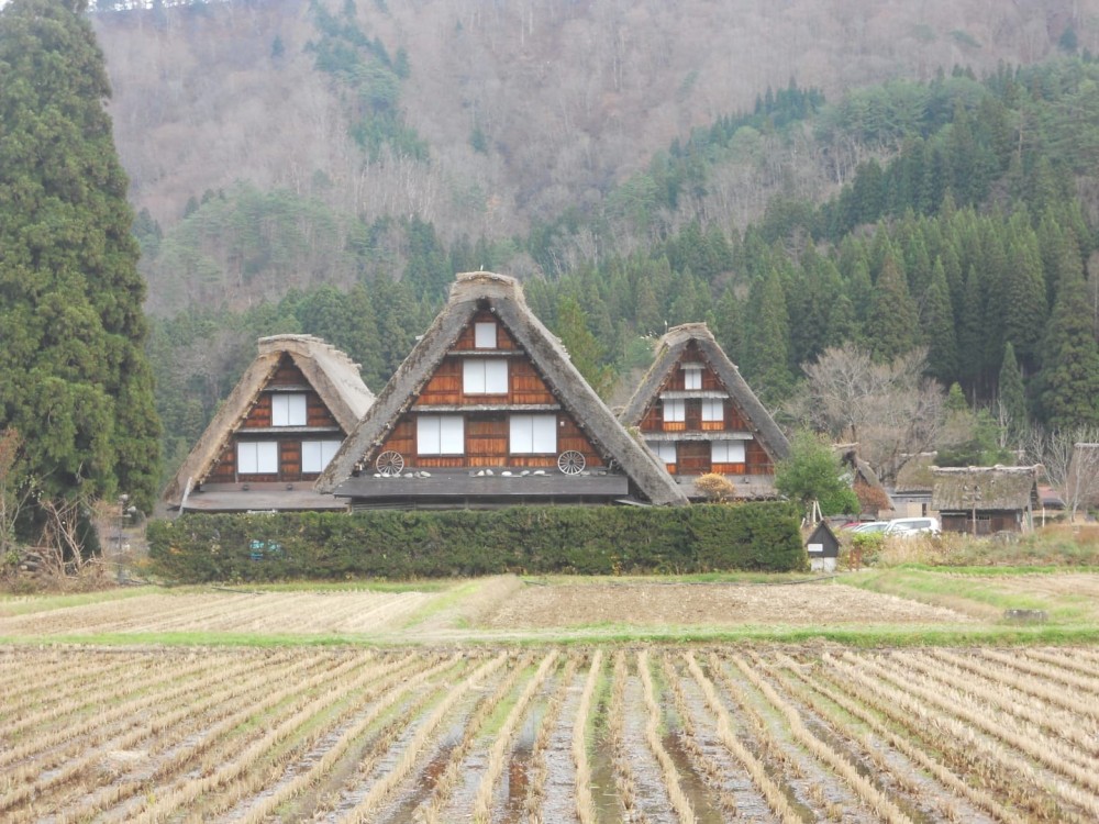 奥飞达木石度假村 Kai Okuhida_20260629_182254_2548.jpg