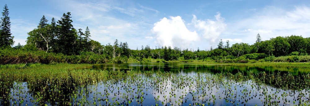 北海道坐忘林  Hokkaido Zaborin_shinsen-numa.jpg