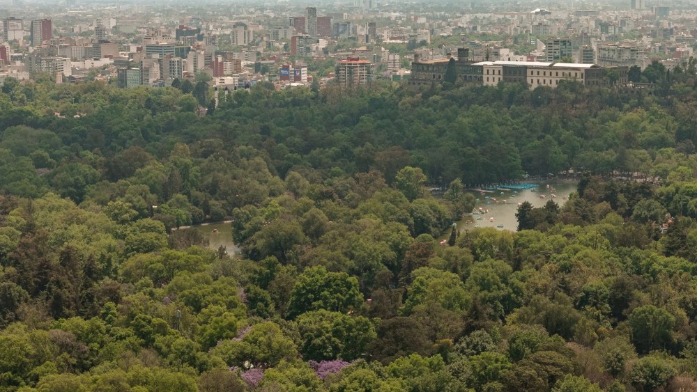 墨西哥城柏悦酒店 Park Hyatt Mexico City Polanco_20260701_134132_152.jpg