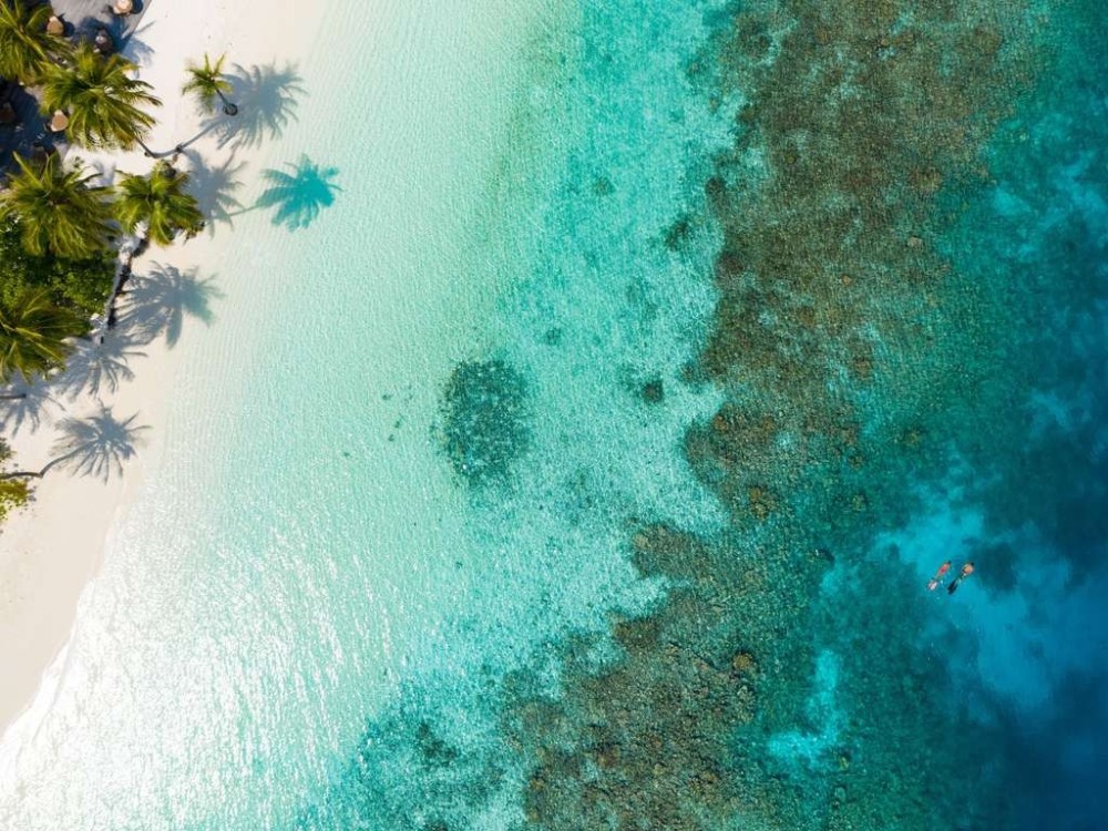 马尔代夫米里希V别墅 V Villas Maldives at Mirihi_20260703_173258_3149.jpg