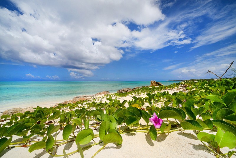 特克斯和凯科斯群岛丽思卡尔顿酒店 The Ritz-Carlton, Turks & Caicos’_20260705_121311_1125.jpg