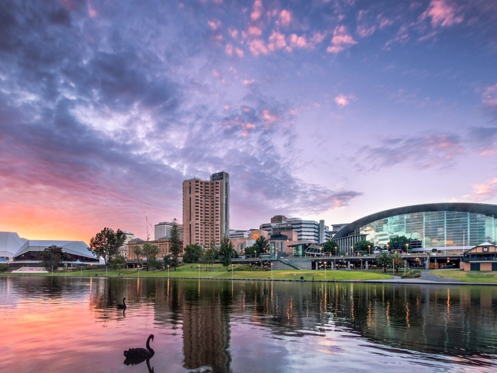沃森阿德莱德 The Watson Adelaide - Art Series_20260710_114803_874.jpg