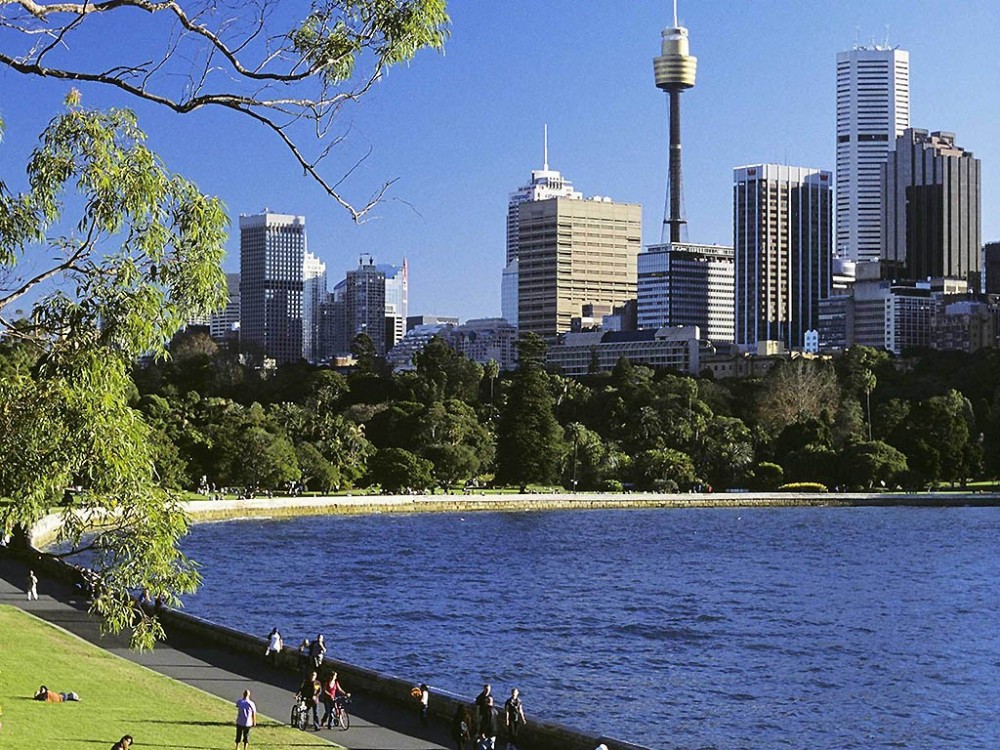 悉尼瑞士酒店 Swissôtel Sydney_20260710_152138_1514.jpg