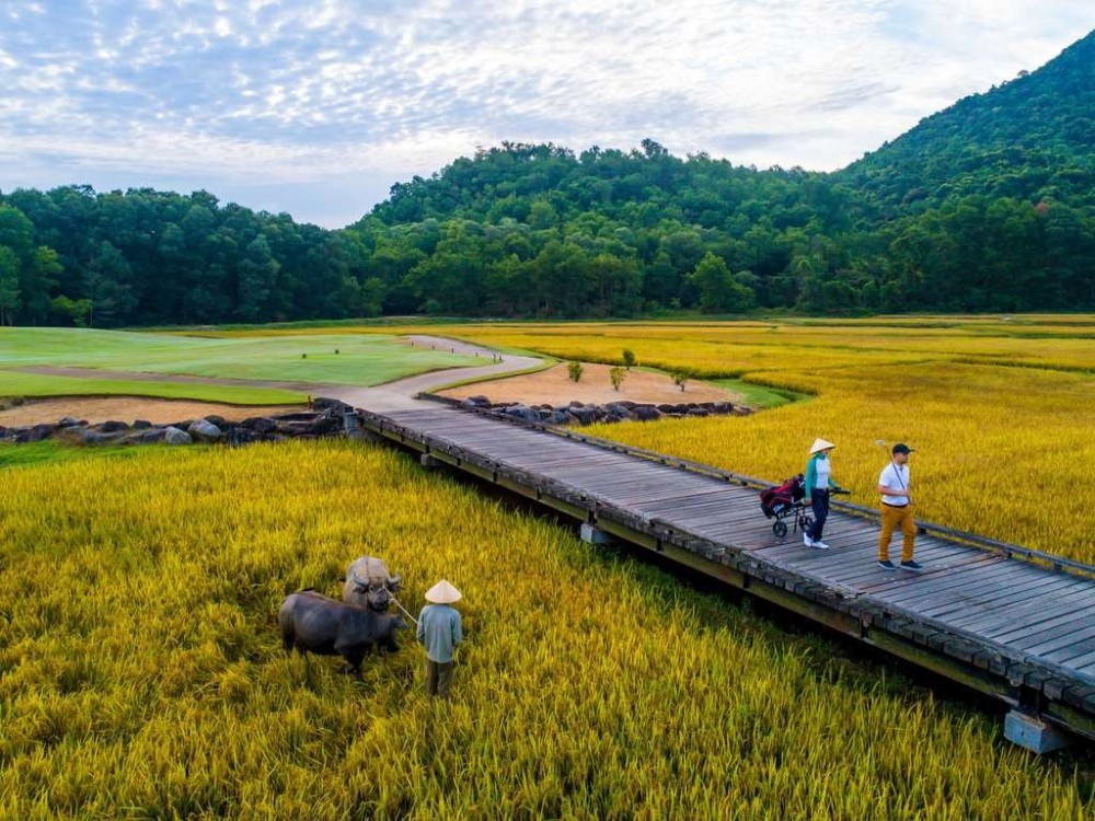 越南兰珂悦椿度假村 Angsana Lang Co Vietnam_20260710_162451_1792.jpg