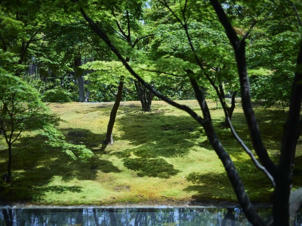 京都二条城悦柳酒店 Garrya Nijo Castle Kyoto_20260710_180320_2022.jpg