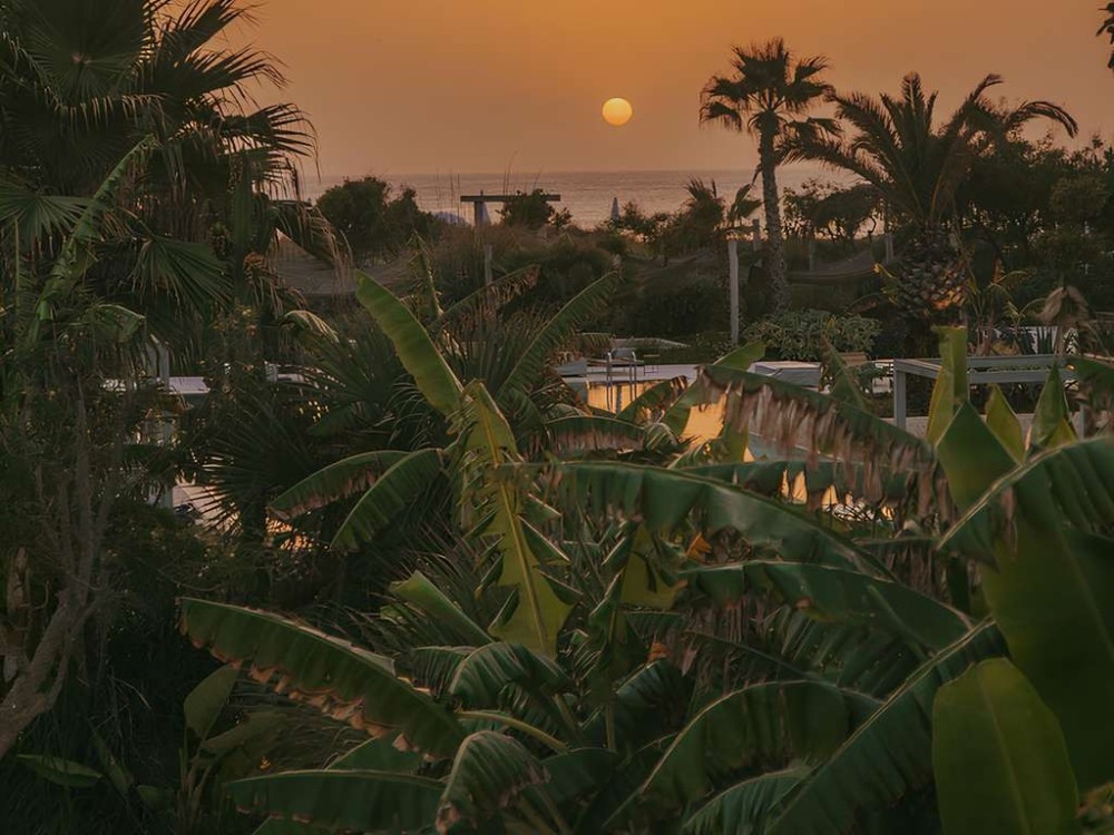 索菲特阿加迪尔度假酒店 Sofitel Agadir Thalassa_20260710_182934_2157.jpg