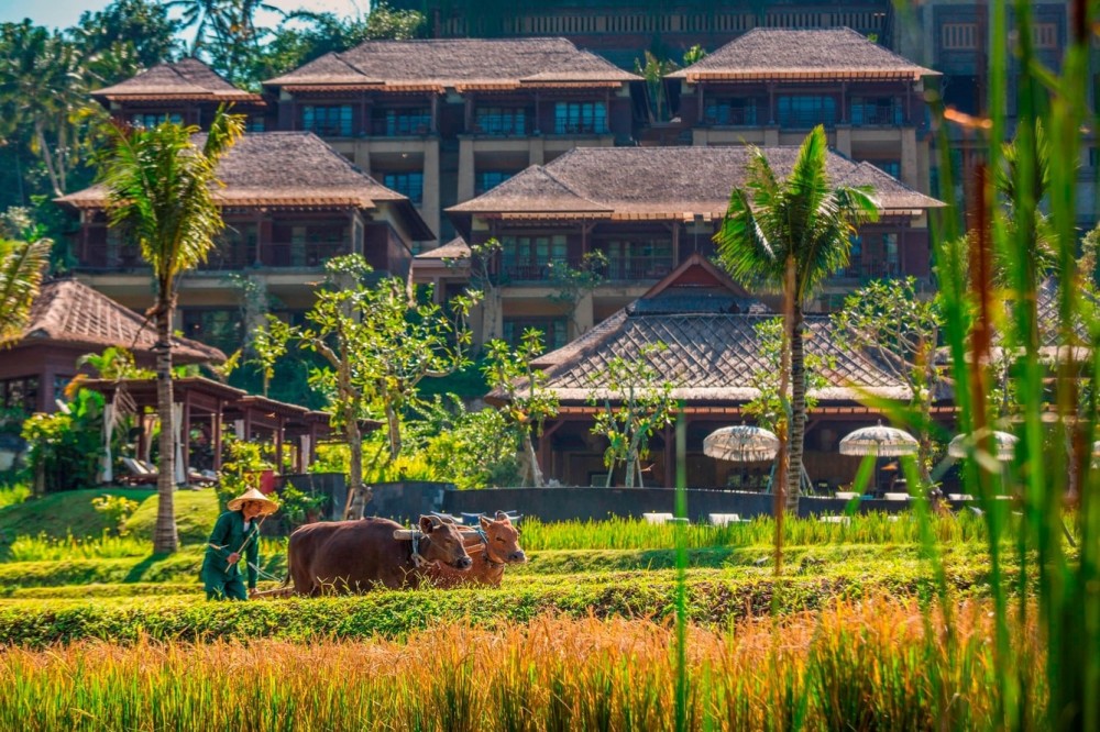 巴厘岛乌布丽思卡尔顿酒店 Mandapa, a Ritz-Carlton Reserve_20260713_180558_2344.jpg
