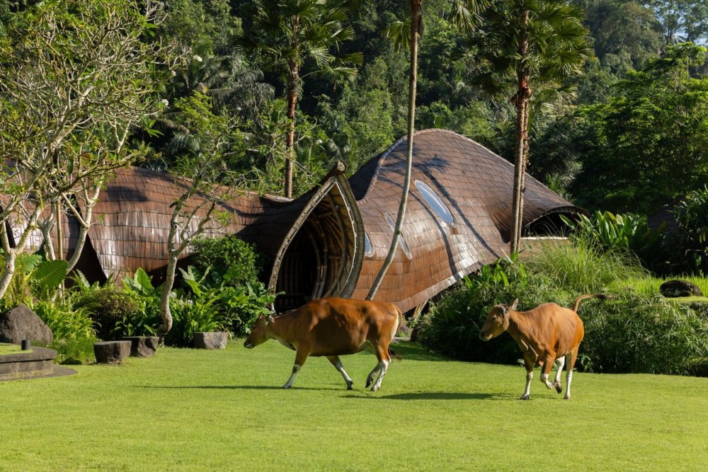 巴厘岛乌布丽思卡尔顿酒店 Mandapa, a Ritz-Carlton Reserve_20260713_180558_2387.jpg