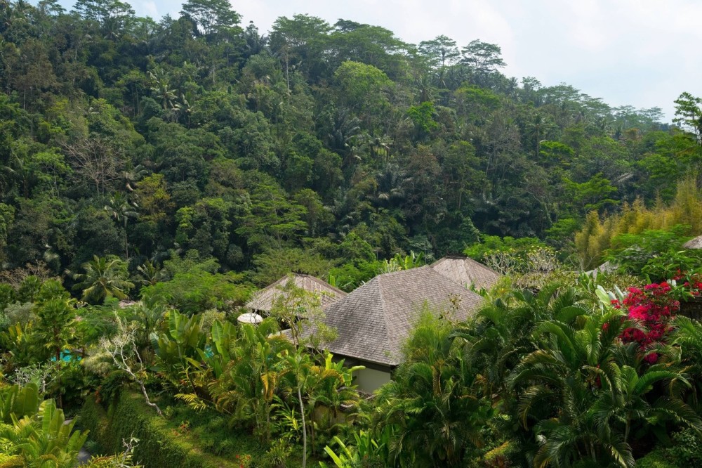 巴厘岛乌布丽思卡尔顿酒店 Mandapa, a Ritz-Carlton Reserve_20260713_180558_2473.jpg