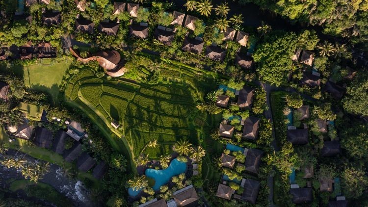 巴厘岛乌布丽思卡尔顿酒店 Mandapa, a Ritz-Carlton Reserve_20260713_180558_2519.jpg