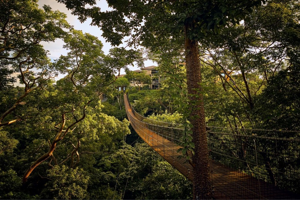 帕帕戈丽思卡尔顿度假村 Nekajui Peninsula Papagayo, a Ritz-Carlton Reserve_20260716_134037_191.jpg