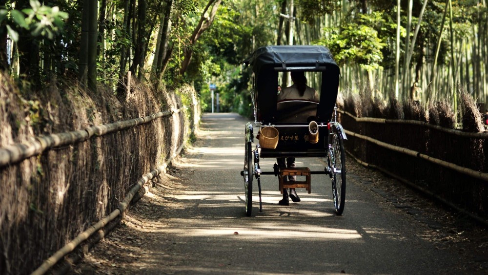 京都柏悦酒店 Park Hyatt Kyoto_20260720_141711_1629.jpg