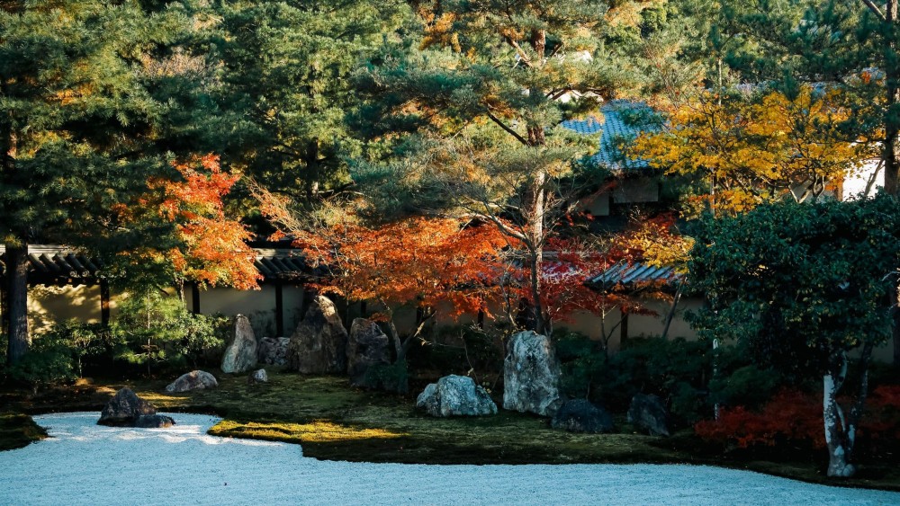京都柏悦酒店 Park Hyatt Kyoto_20260720_141711_1630.jpg