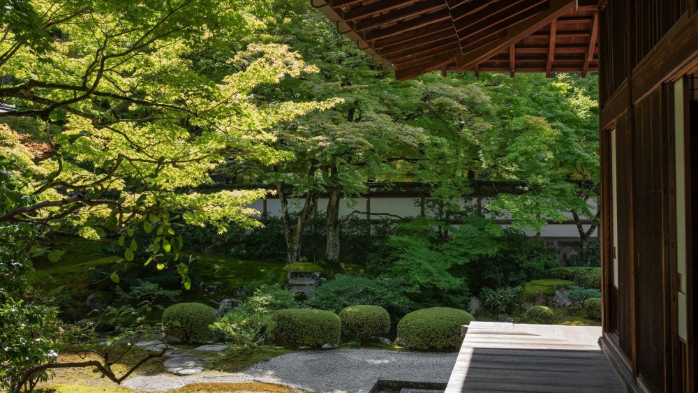 京都柏悦酒店 Park Hyatt Kyoto_20260720_141711_1639.jpg