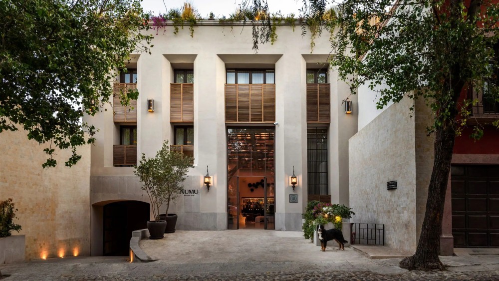 圣米格尔德精品酒店 Numu Boutique Hotel San Miguel de Allende_20260720_150703_1851.jpg