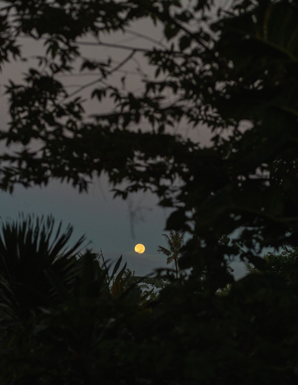 MOON-GANG-6.-Cosmos-Kiosk-16-IMG_8043.jpg