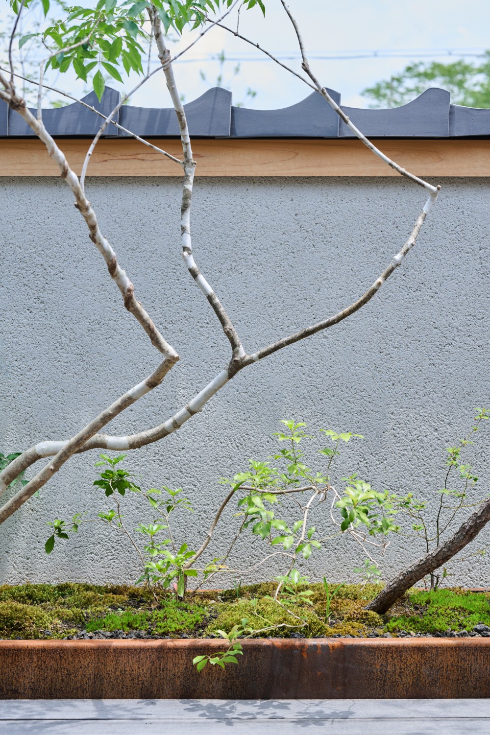 20_torinago_92.jpg