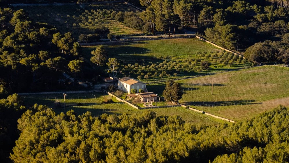 马略卡四季度假酒店 Four Seasons Resort Mallorca_20260731_163930_249.jpg