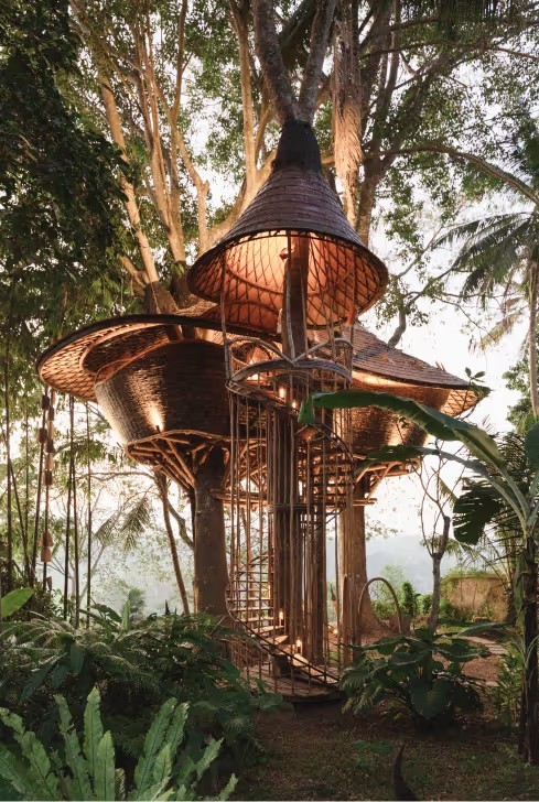 乌布巴姆布英达度假村 Bambu Indah, Ubud_20260804_133822_469.jpg