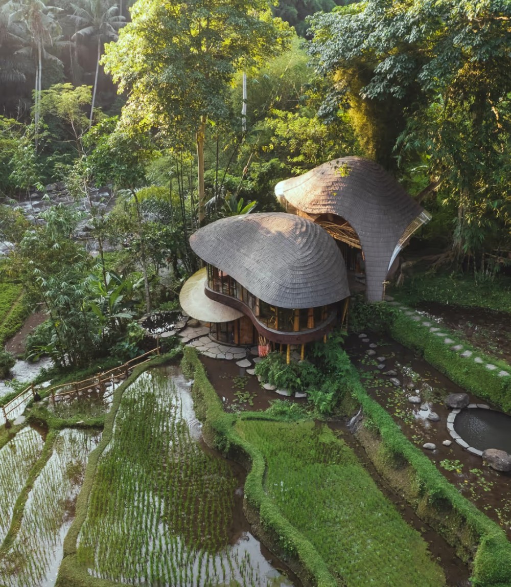乌布巴姆布英达度假村 Bambu Indah, Ubud_20260804_133822_488.jpg