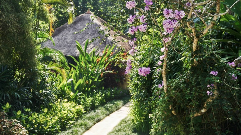 巴厘岛萨彦四季度假村 Four Seasons Resort Bali at Sayan_20260806_162520_1213.jpg