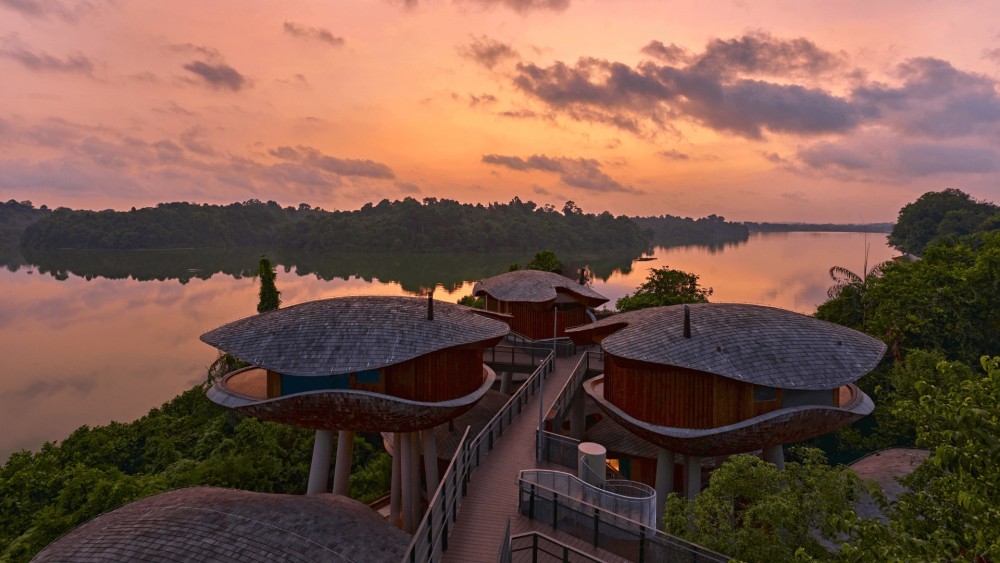 新加坡万态雨林悦榕庄 Mandai Rainforest Resort by Banyan Tree_20260820_160902_057.jpg