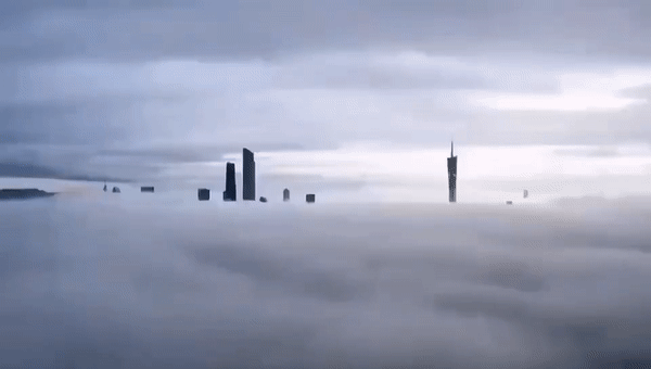 共生形态 | 诗意的效率_03.gif